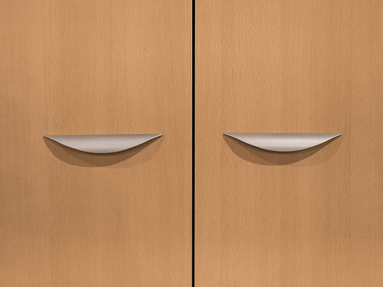 Шкаф для одежды ДСП Бук Россия