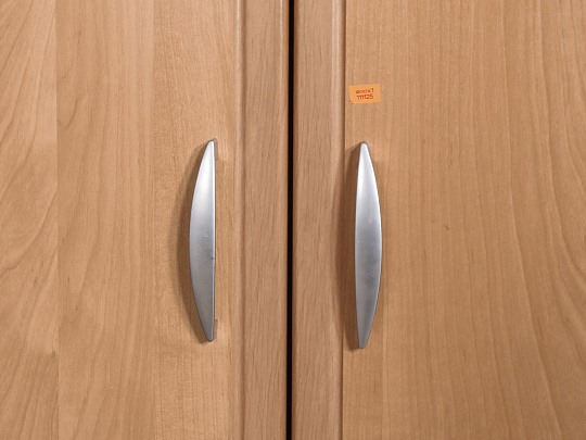 Шкаф для одежды ЛДСП Ольха