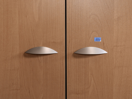 Шкаф для одежды ЛДСП Ольха