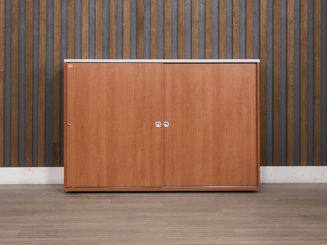 Шкаф для документов ЛДСП Ольха Россия (ШДОХ5-020425)