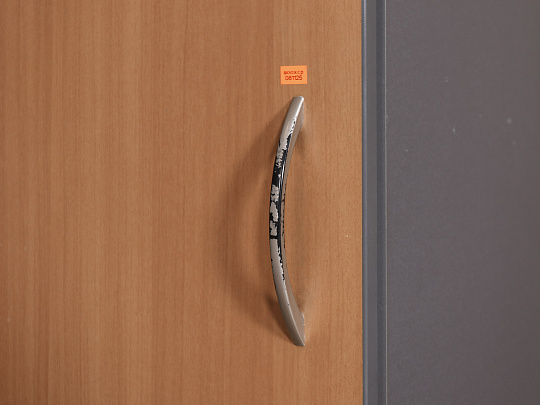 Шкаф для одежды ЛДСП Ольха