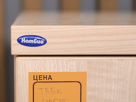 Тумба подкатная Камбио ЛДСП Бук Россия