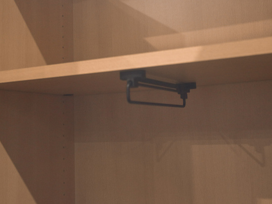 Шкаф для одежды ДСП Бук Россия