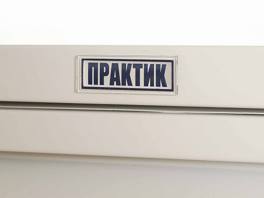 Сейф Практик 48 кг Россия