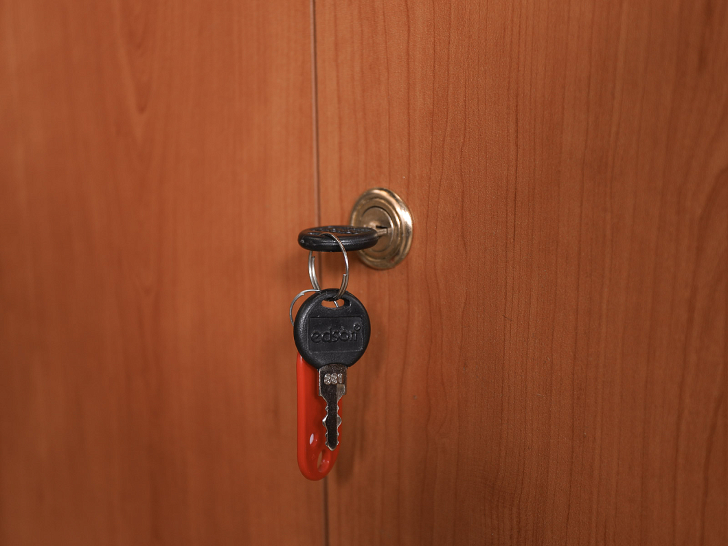 Шкаф для документов ЛДСП Ольха (ШДОХ2-070625)