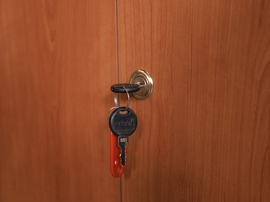 Шкаф для документов ЛДСП Ольха