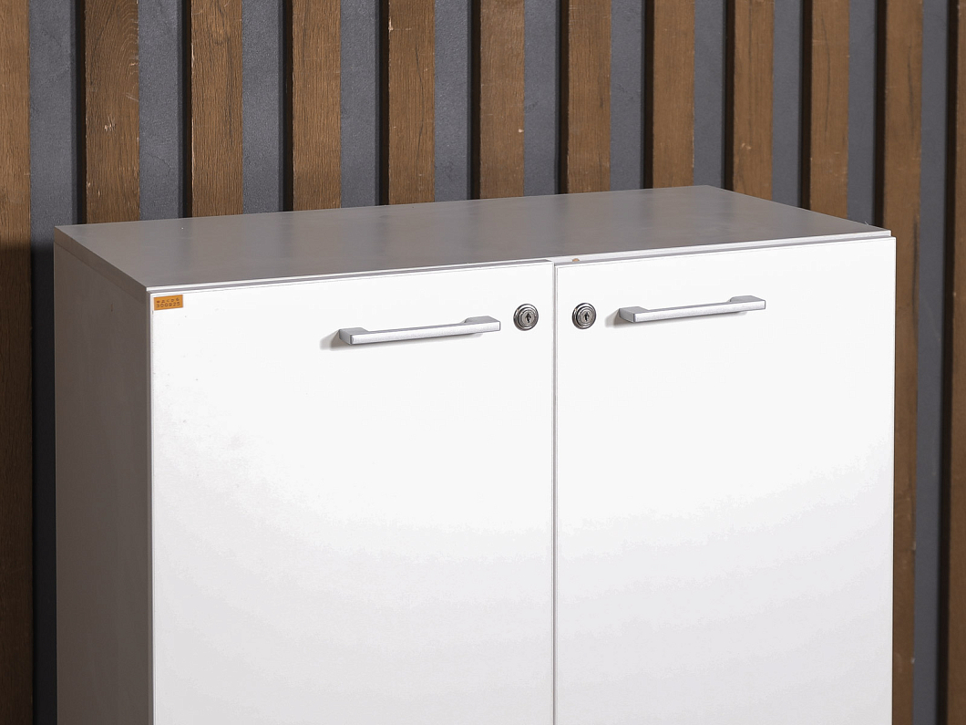 Шкаф для документов ЛДСП Белый (ШДСРБ-300925)