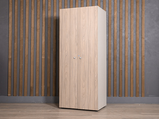 Шкаф для одежды ЛДСП Ясень шимо