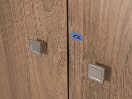 Шкаф для одежды ЛДСП Ясень шимо